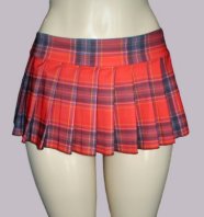 DSLV Red Plaid Mini